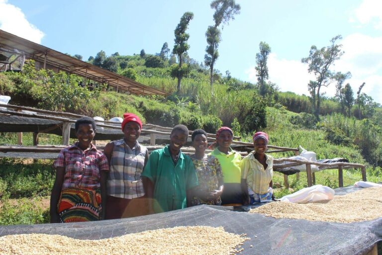 Coffee Profile – Rwanda Shyira, Washed Red Bourbon